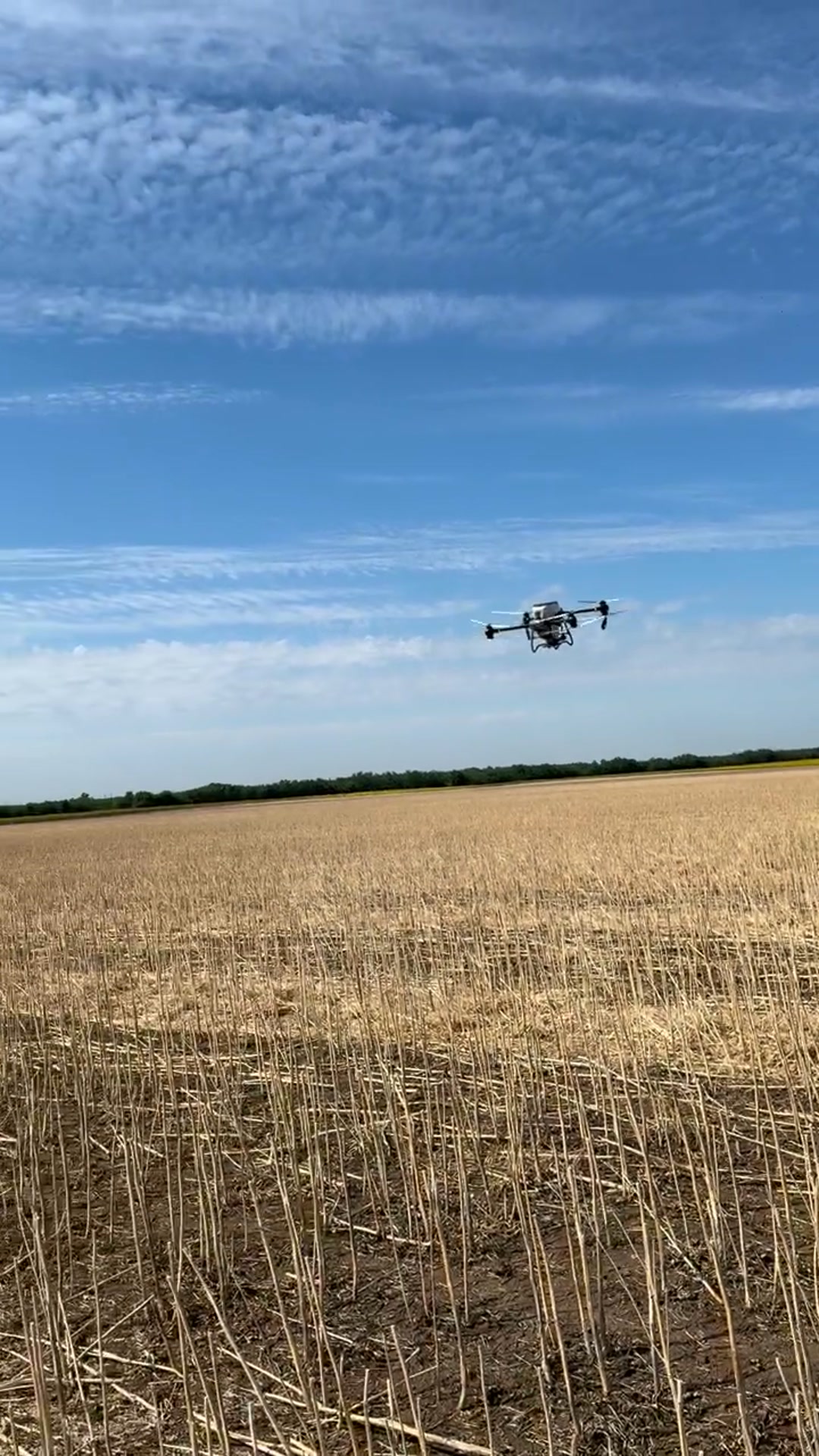 DJI Agras T50 mikrogranulátumot szór egy mezőgazdasági terület felett