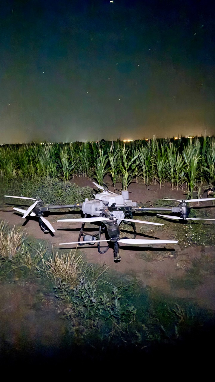 DJI Agras T50 éjszakai munkára előkészítve egy kukoricatábla mellett